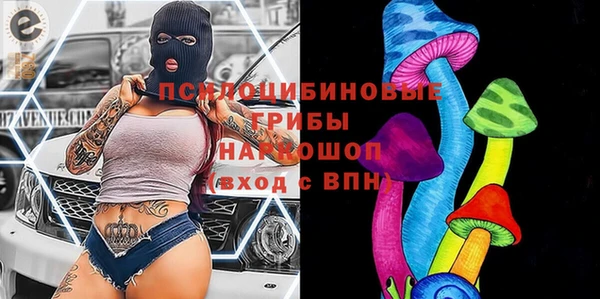 прущие грибы Балабаново